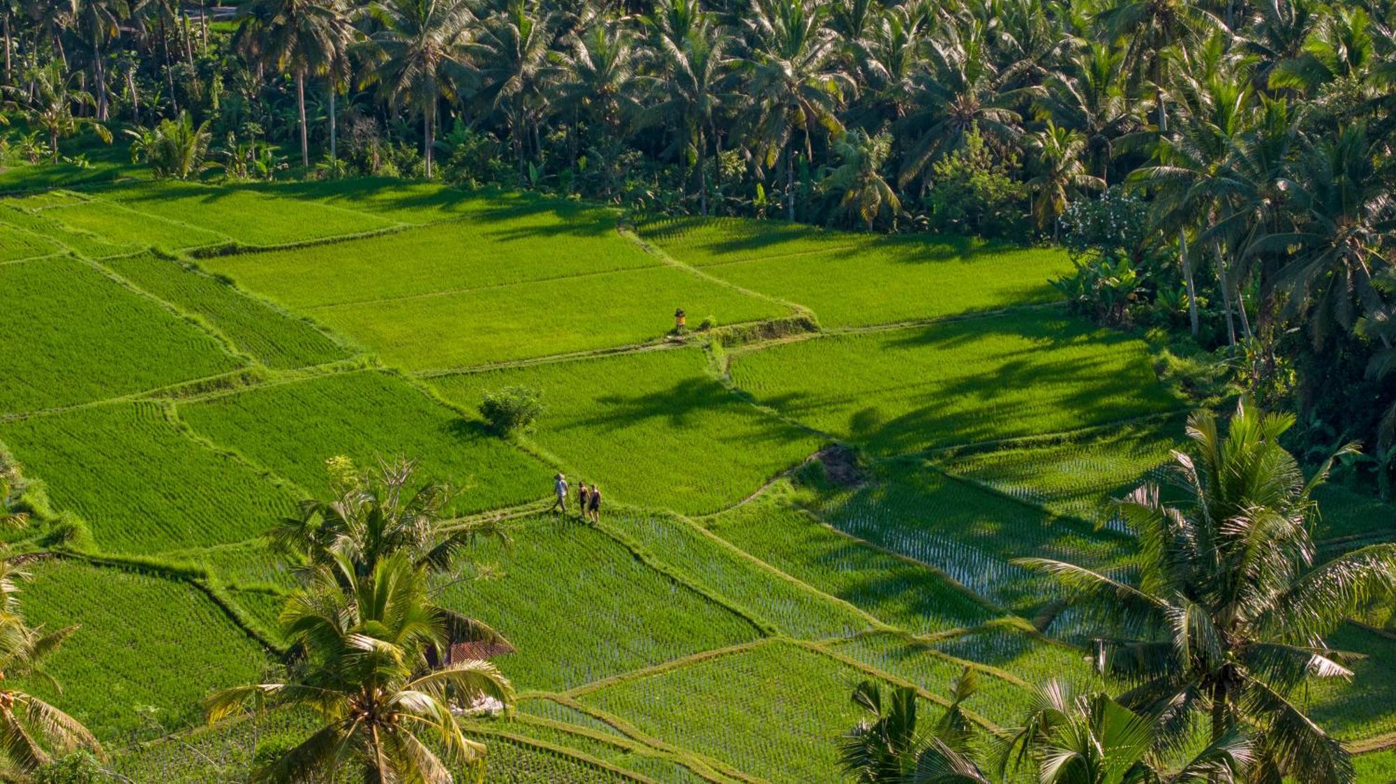 Lasamana Villas Ubud By Pramana Villas Екстериор снимка